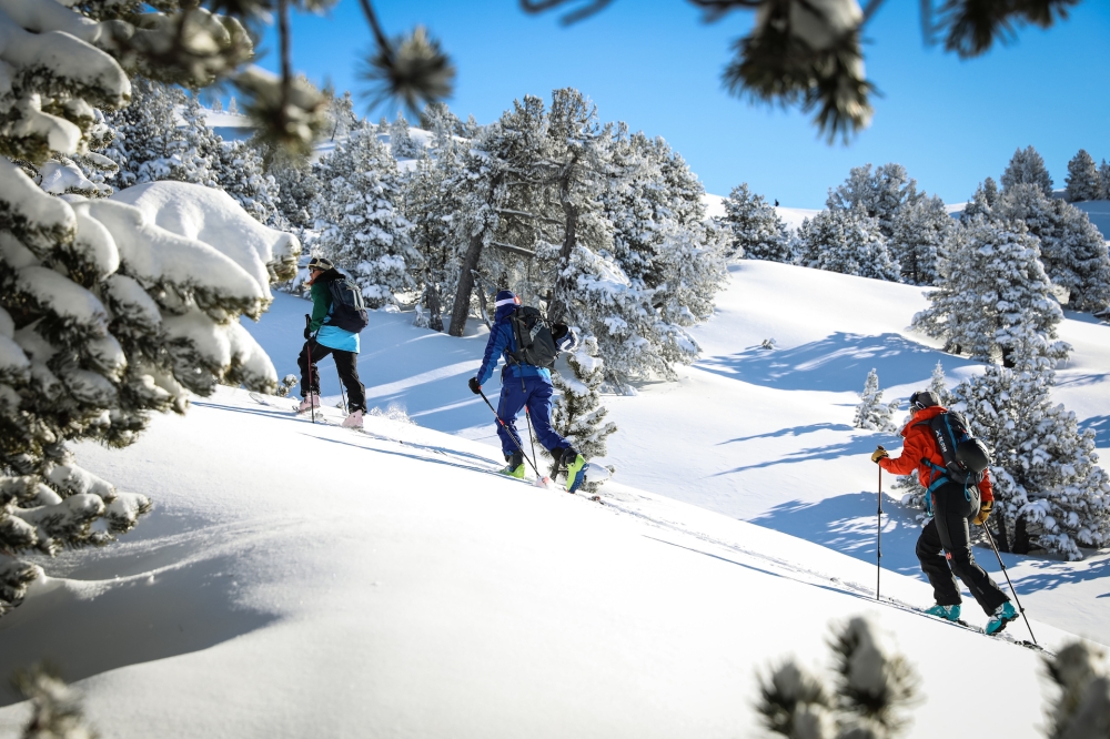 Ski de randonnée